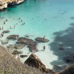 Turen går til Mallorca - 7 tips til at få den bedste familieferie